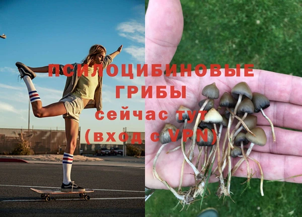 ALPHA PVP Абаза
