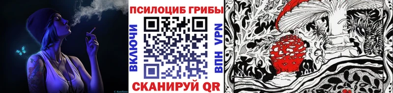 Галлюциногенные грибы Psilocybine cubensis  Шахунья 