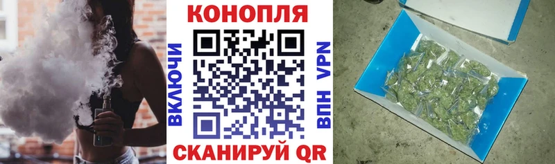 где купить наркоту  Шахунья  Конопля конопля 